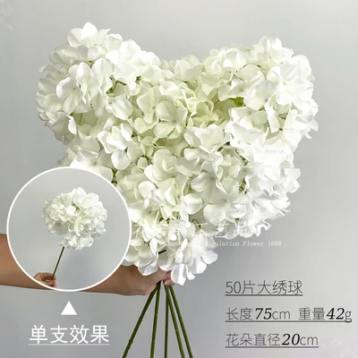 50 large hydrangea flowers