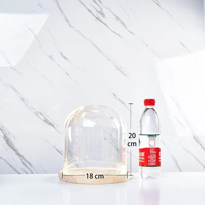 18*20 glass cover wood base