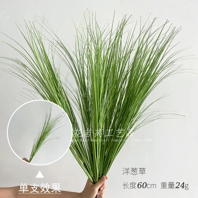 Onion grass
