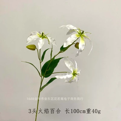 3 flame lilies