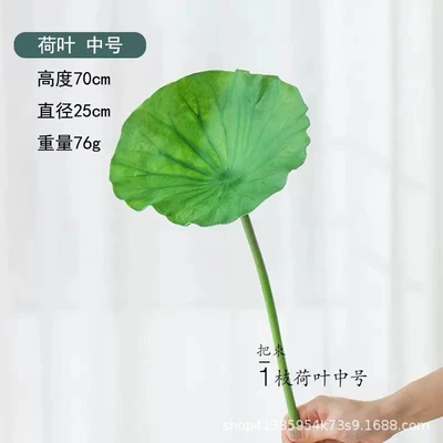 Lotus leaf medium