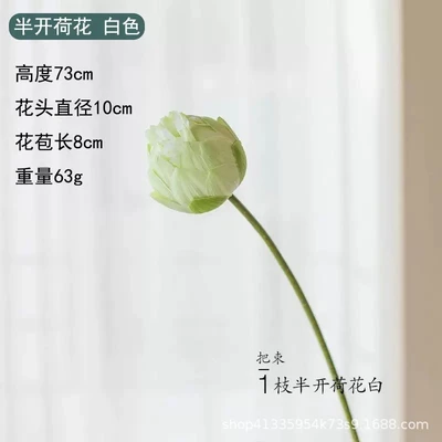 Half-open lotus white