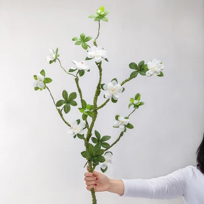 Long white azalea