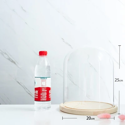 20*25 glass cover wood base