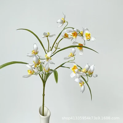 Yellow heart white