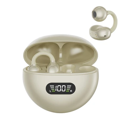 Q71 clip ear skin color