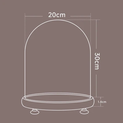 20*30 log + lamp