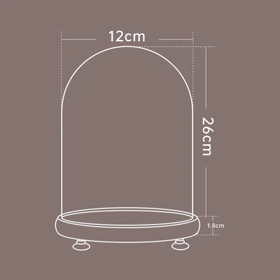 12*26 log + lamp