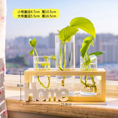 Log color home(3 bottles)
