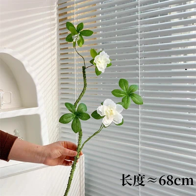 Short white azalea