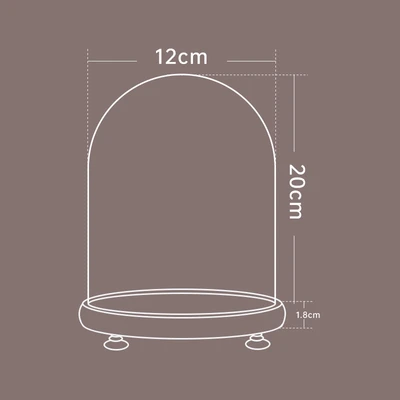 12*20 log + lamp