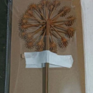 Double three-dimensional dandelion