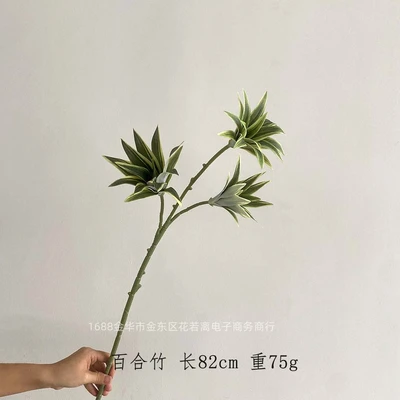 3 lily bamboos