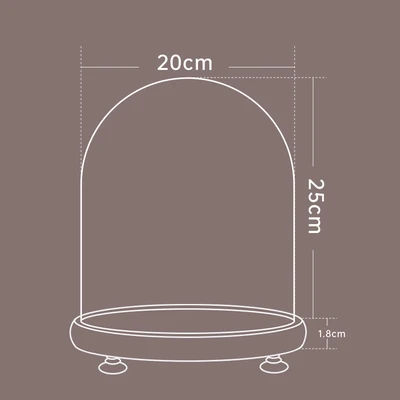 20*25 log + lamp