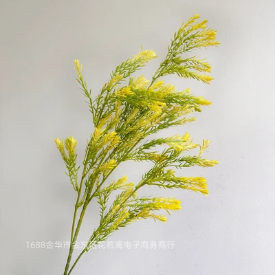 Yellow green
