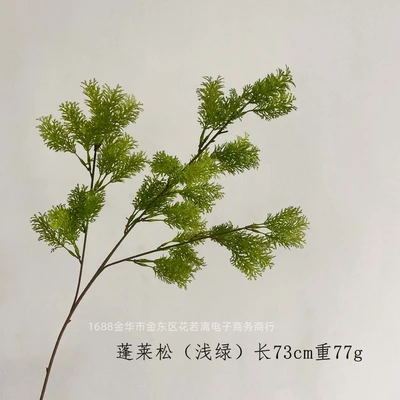 Penglai pine (light green)