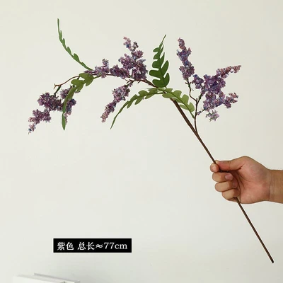 Short branch purple [77cm]