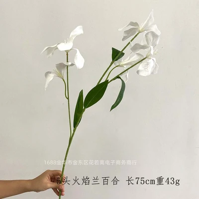 5 flame orchid lilies