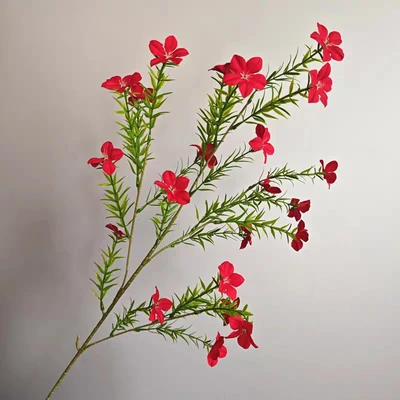 Bright red