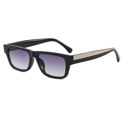 Black frame with double gray lenses