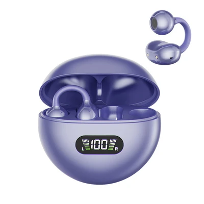 Q71 clip ear purple