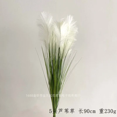 5 reed grass