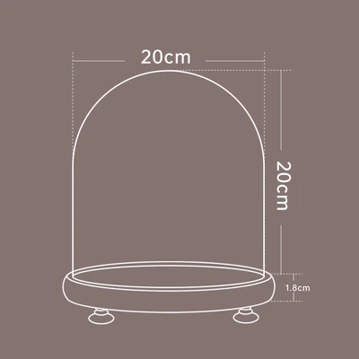 20*20 log + lamp
