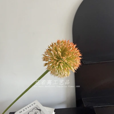 Onion balls