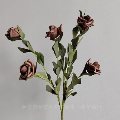 Coffee color
