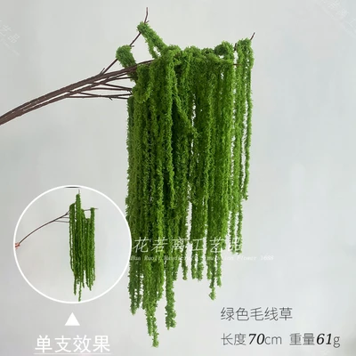 Green plush grass