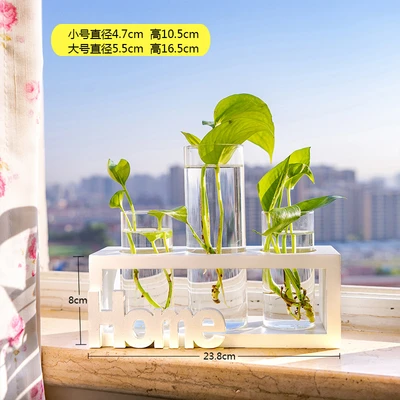 White home(3 bottles)