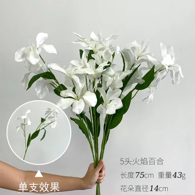 5 flame orchid lilies