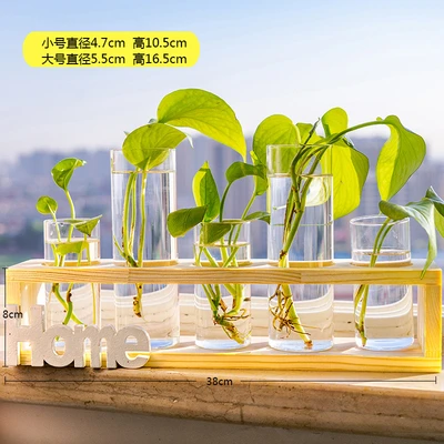 Log color home(5 bottles)