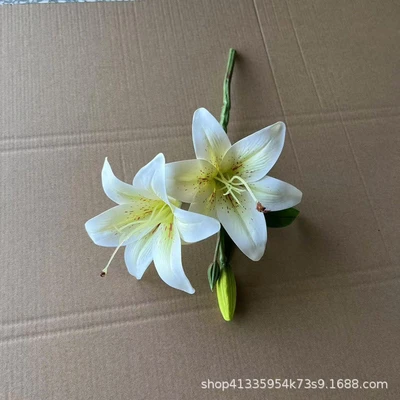 Yellow heart white