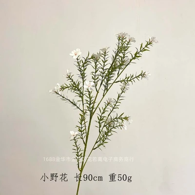 Small wildflower