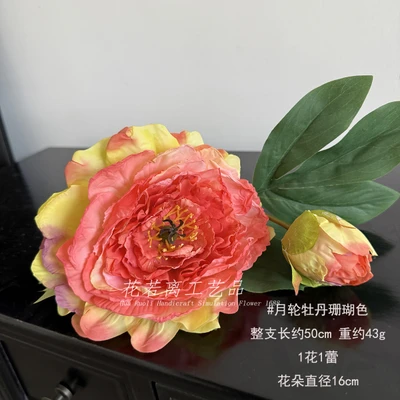 Coral color