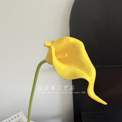 Caladium yellow