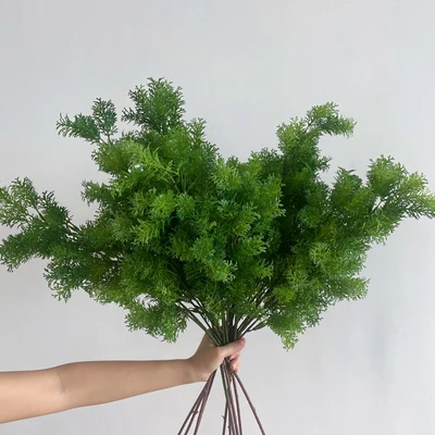 Penglai pine (dark green)