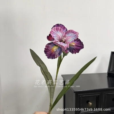 Purple iris