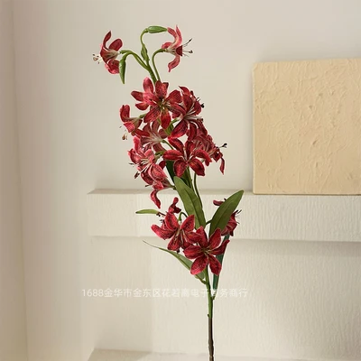 Red leopard lily