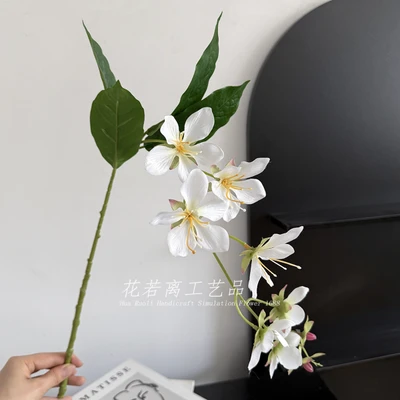 Silky Jasmine [Elegant Style]