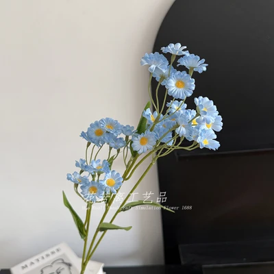 Chamomile blue