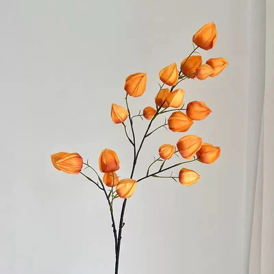 Light orange