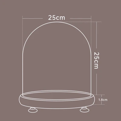 25*25 log + lamp