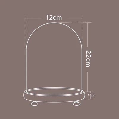 12*22 log + lamp