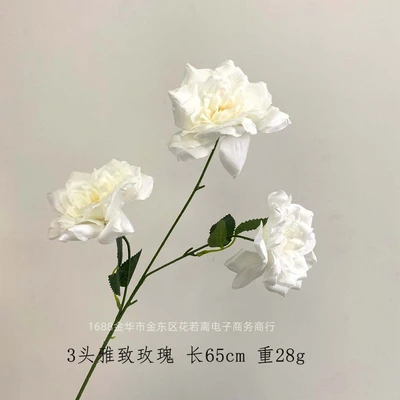 3 elegant roses