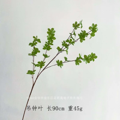 Bell leaf