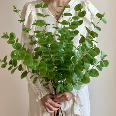 Eucalyptus【5 pieces】