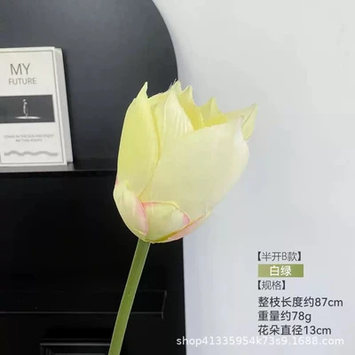 Half-open lotus all white