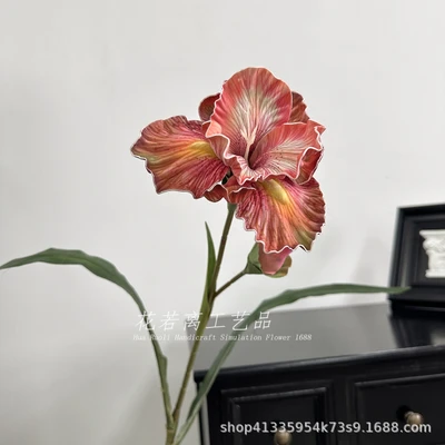 Orange iris